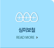 심미보철